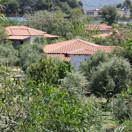 Nikos Κακόβατος