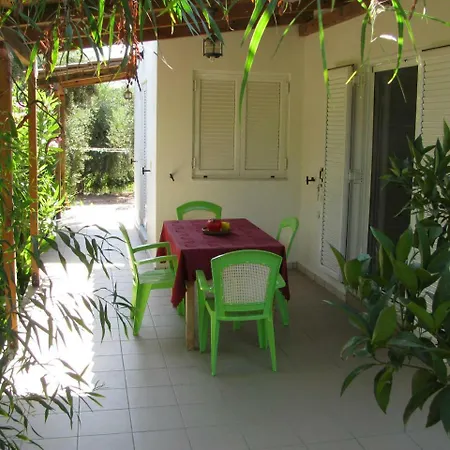 Nikos 卡科瓦托斯